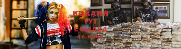 соль ск Нефтекумск