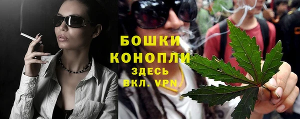 spice Новозыбков