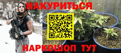 мдпв Гатчина