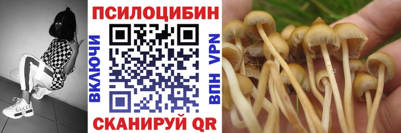 цена   Заинск  Псилоцибиновые грибы MAGIC MUSHROOMS 