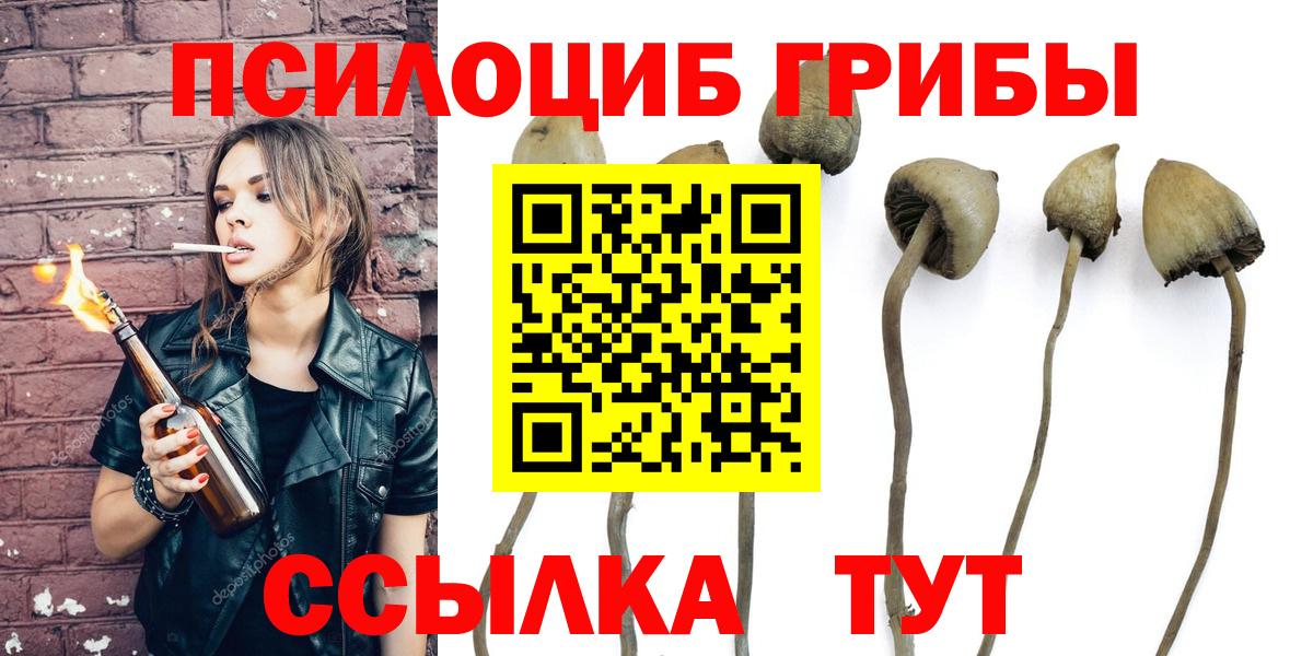 цена   Псилоцибиновые грибы Magic Shrooms  Вход с VPN  Галлюциногенные грибы GOLDEN TEACHER  Заинск 