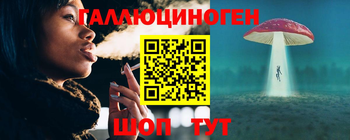 Псилоцибиновые грибы Psilocybe Заинск